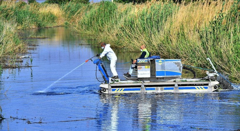 Büyükşehir sahada, Aliağa beklemede mi?
